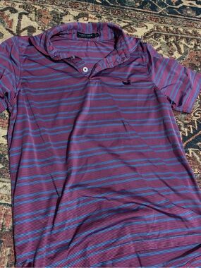 Southern Marsh Purple Polo with Blue Stripe Detail
